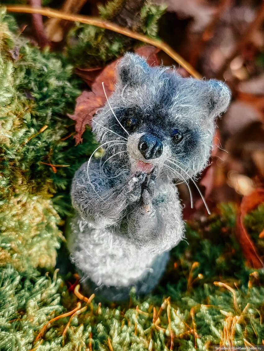 Время енота 🦝❤️✨ — Домашние фото авторских игрушек: Тедди