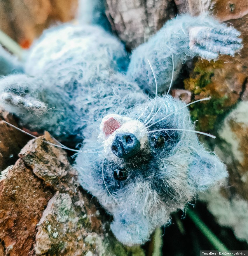 Время енота 🦝❤️✨ — Домашние фото авторских игрушек: Тедди