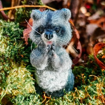 Время енота 🦝❤️✨