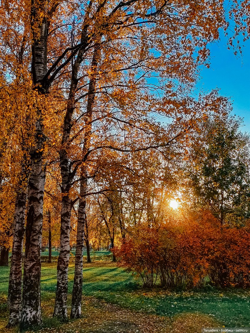 Поймать осень 🍁🍂☀️ — Гибриды шарнирных кукол (не БЖД): подбор тела