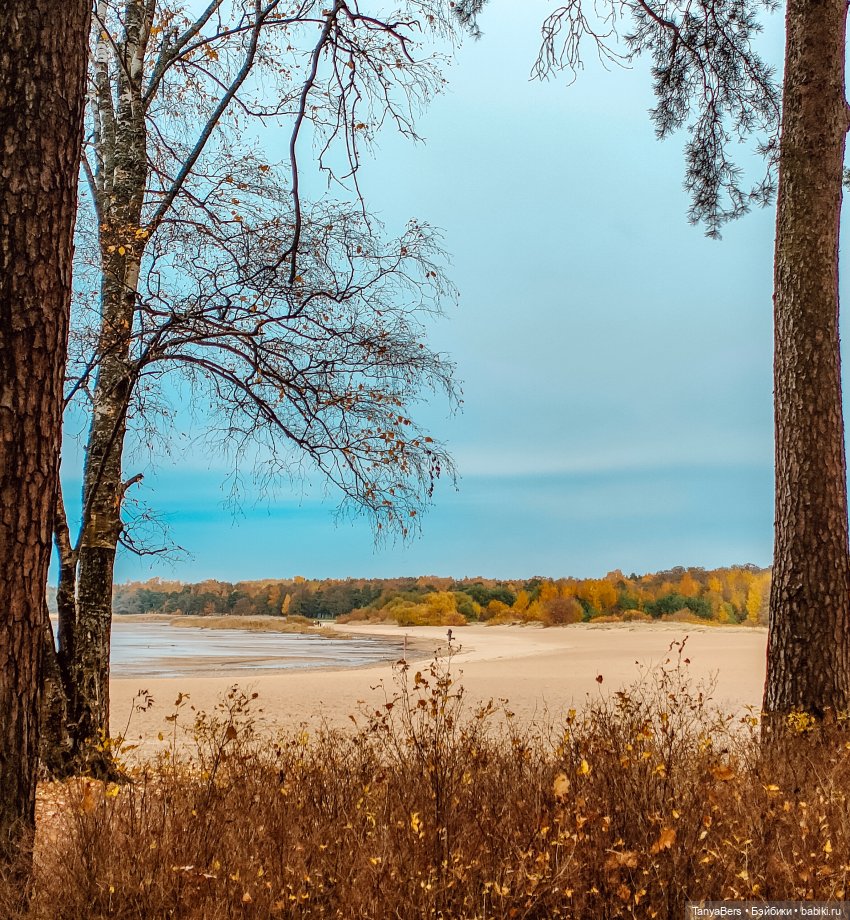 Поймать осень 🍁🍂☀️ — Гибриды шарнирных кукол (не БЖД): подбор тела (фото 10)