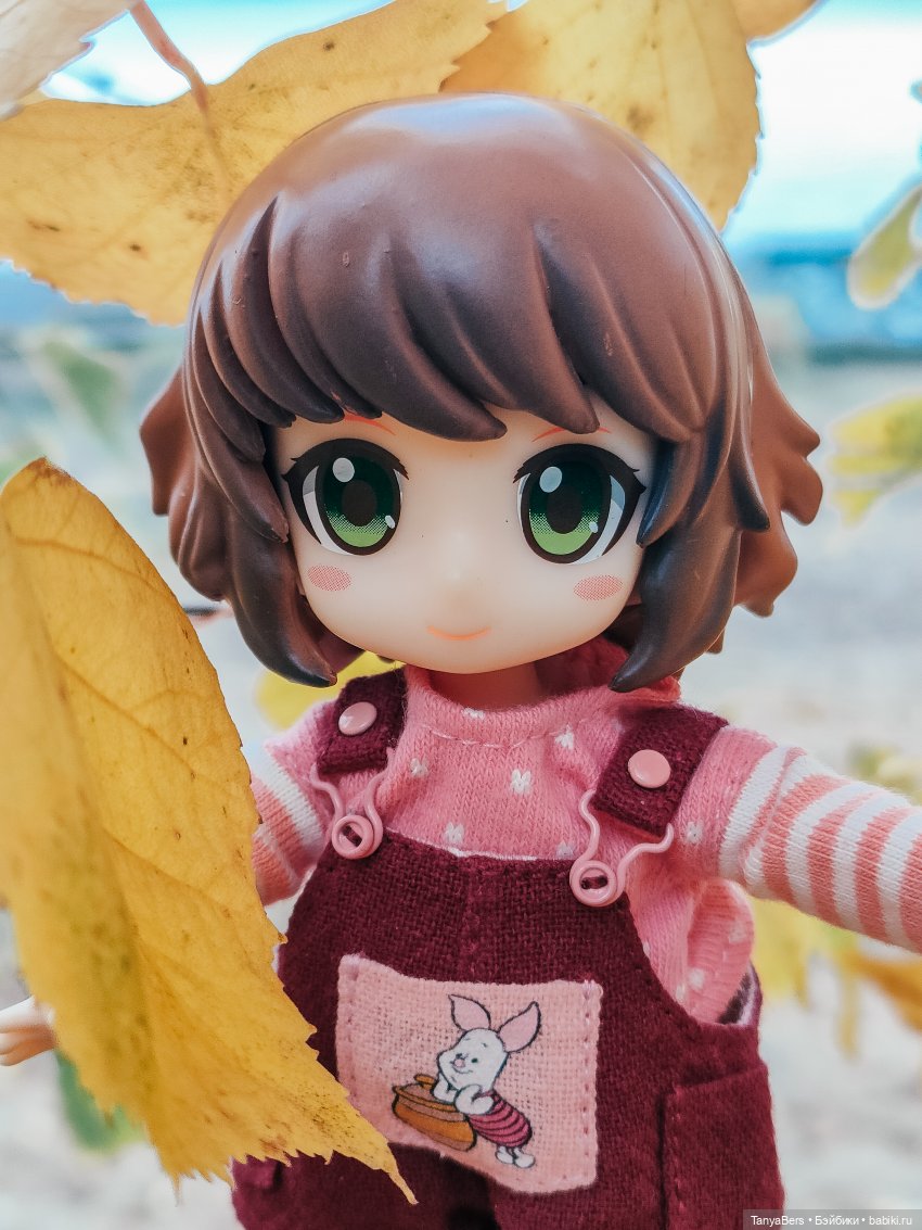 Поймать осень 🍁🍂☀️ — Гибриды шарнирных кукол (не БЖД): подбор тела (фото 5)