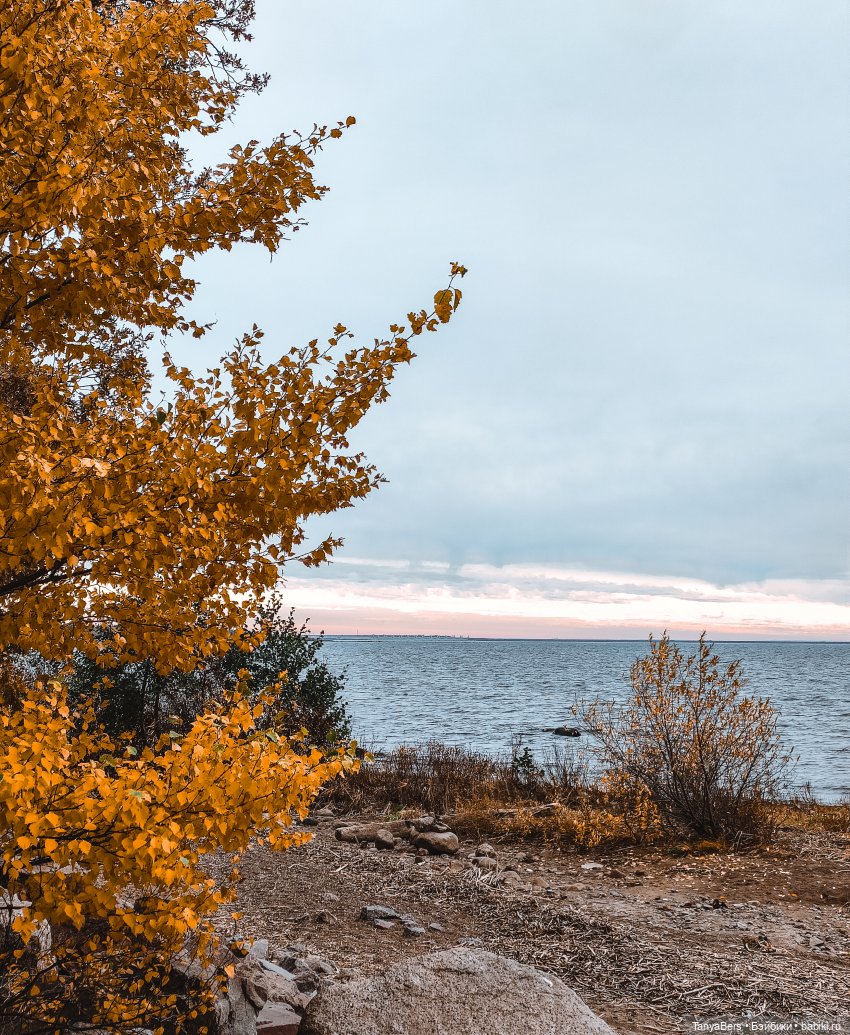 Поймать осень 🍁🍂☀️ — Гибриды шарнирных кукол (не БЖД): подбор тела