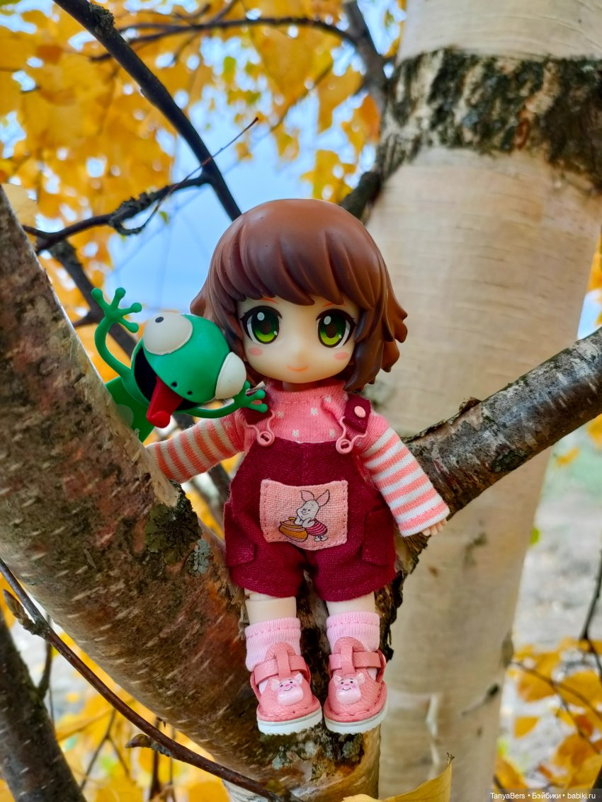 Поймать осень 🍁🍂☀️ — Гибриды шарнирных кукол (не БЖД): подбор тела