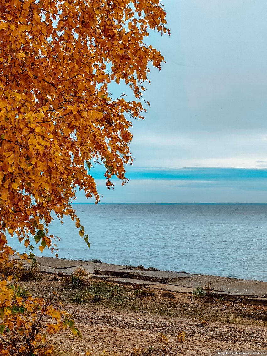 Поймать осень 🍁🍂☀️ — Гибриды шарнирных кукол (не БЖД): подбор тела