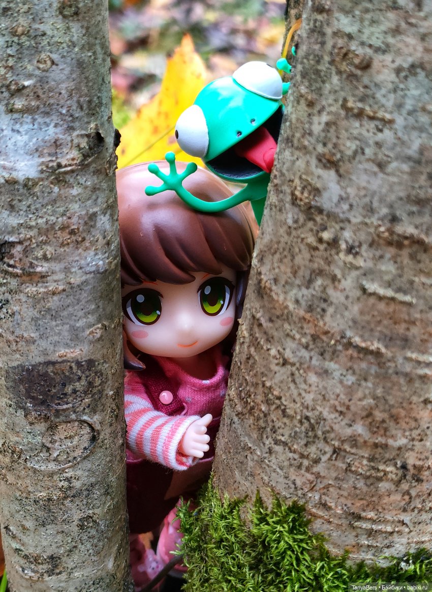 Поймать осень 🍁🍂☀️ — Гибриды шарнирных кукол (не БЖД): подбор тела