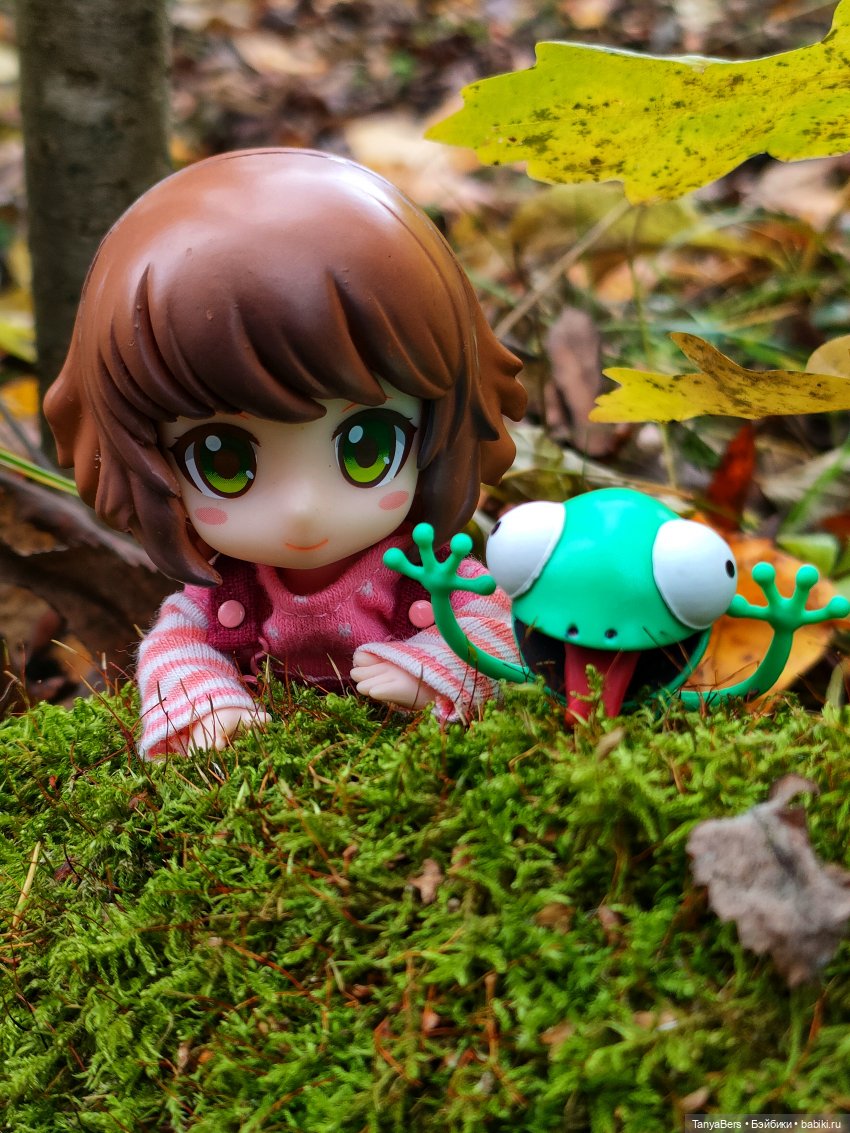 Поймать осень 🍁🍂☀️ — Гибриды шарнирных кукол (не БЖД): подбор тела