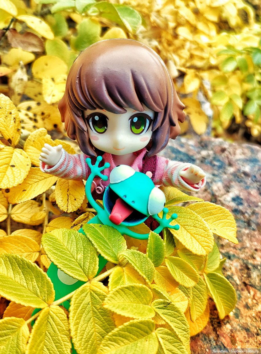 Поймать осень 🍁🍂☀️ — Гибриды шарнирных кукол (не БЖД): подбор тела