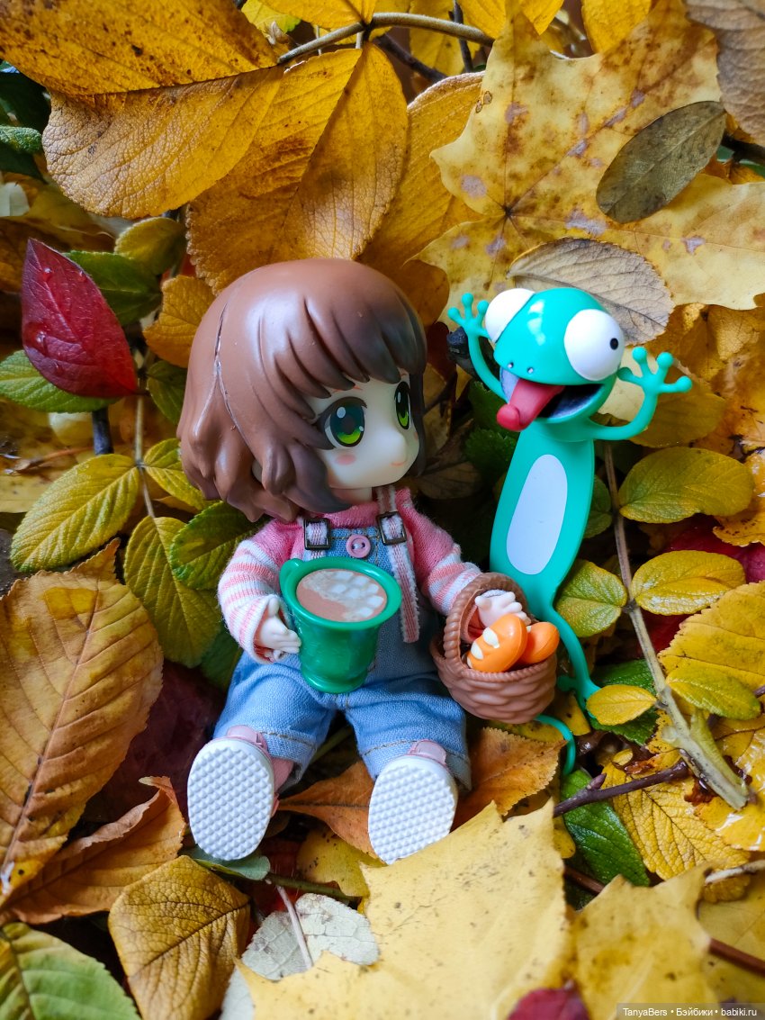 Поймать осень 🍁🍂☀️ — Гибриды шарнирных кукол (не БЖД): подбор тела