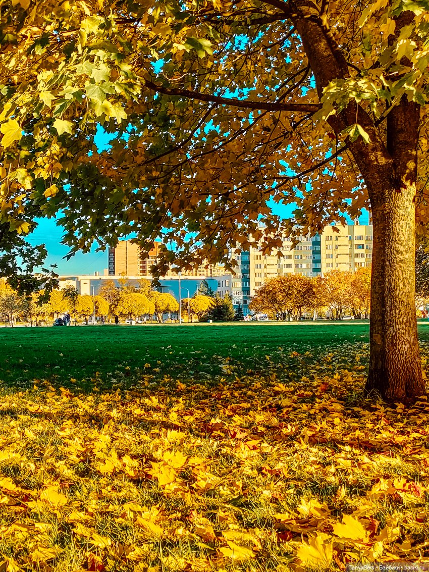 Поймать осень 🍁🍂☀️ — Гибриды шарнирных кукол (не БЖД): подбор тела (фото 4)
