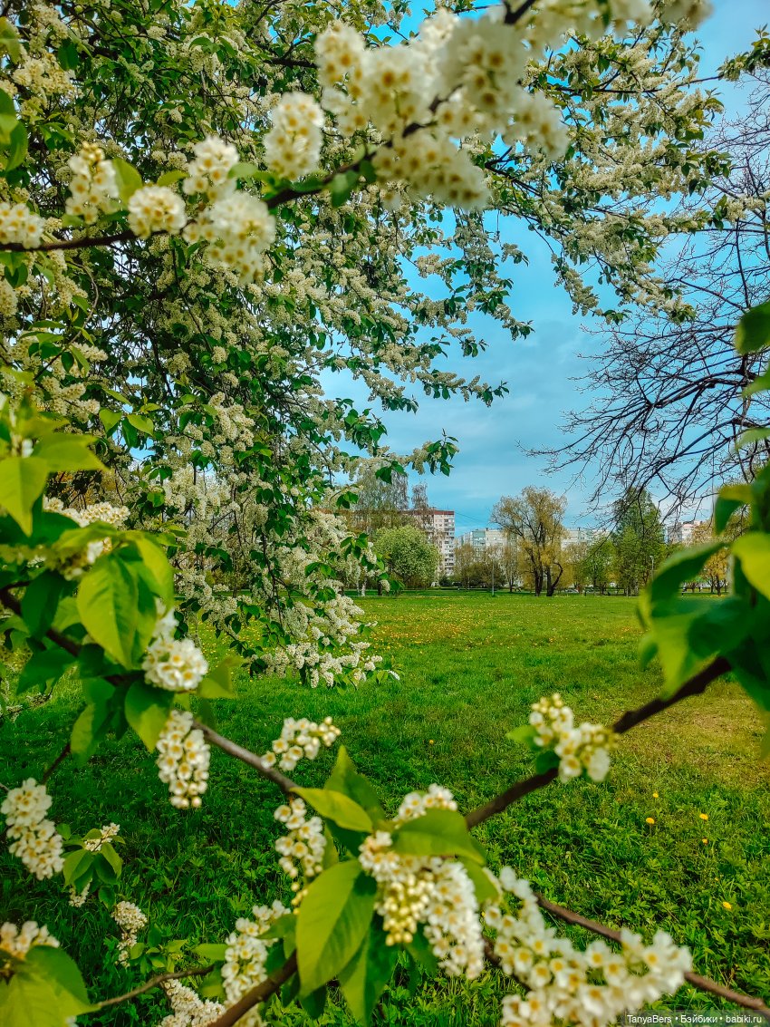 Весна на раз, два, три 🪻🌱☀️