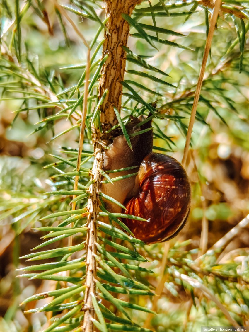 Весна на раз, два, три 🪻🌱☀️