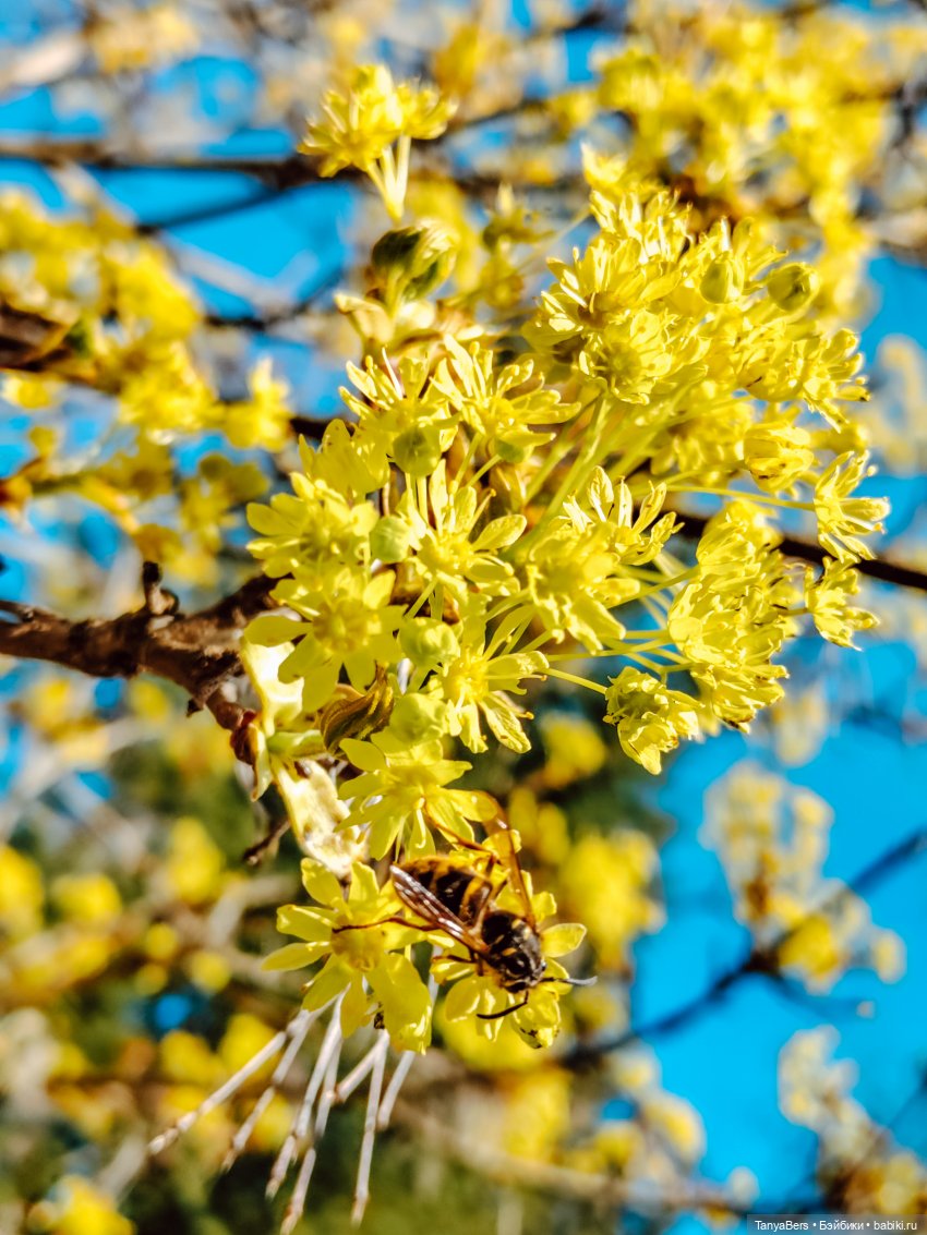 Весна на раз, два, три 🪻🌱☀️