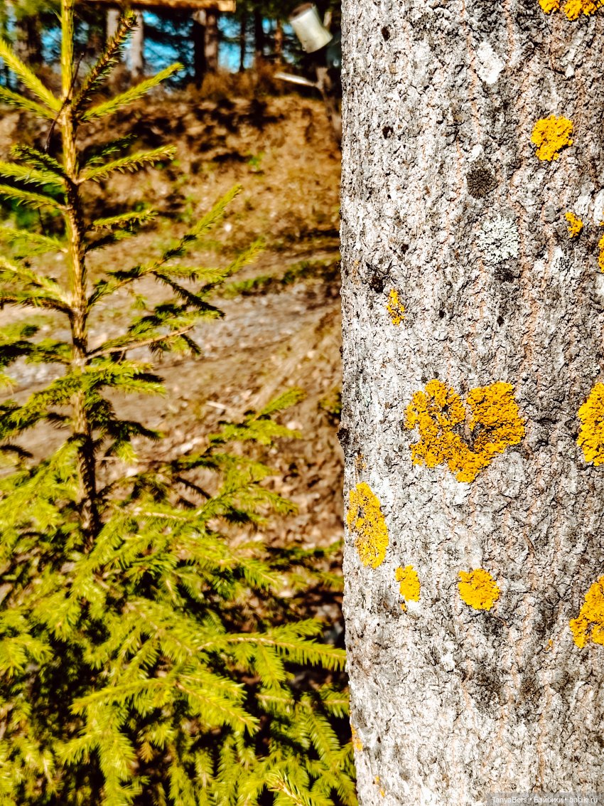 Весна на раз, два, три 🪻🌱☀️ (фото 3)