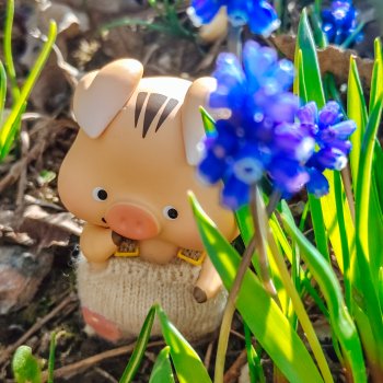 Весна на раз, два, три 🪻🌱☀️