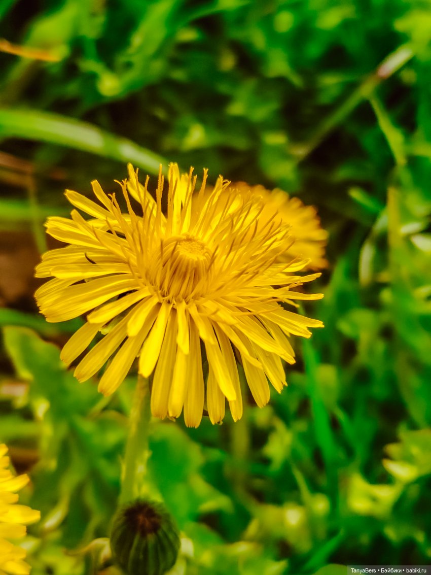 Весна на раз, два, три 🪻🌱☀️