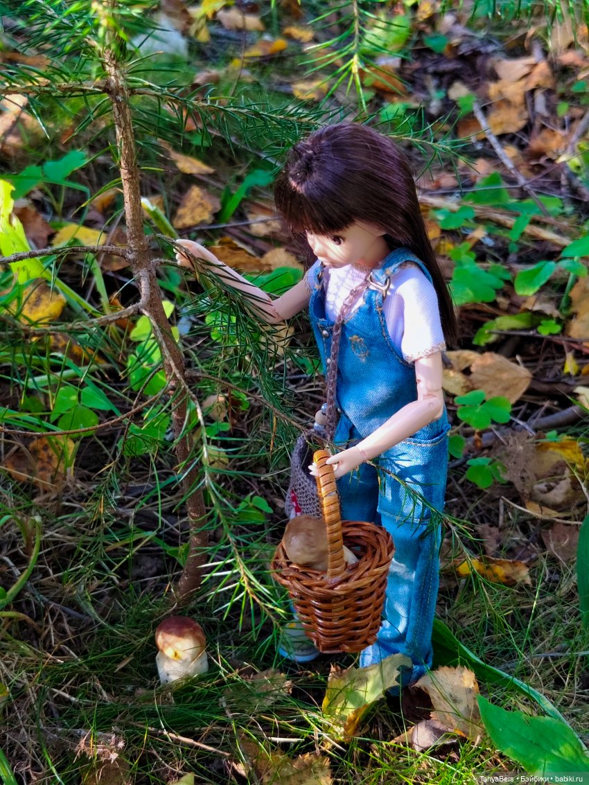 "Фото📸грибалка🍄‍🟫🍄🌲" — Куклы Momoko и Ruruko (Petworks