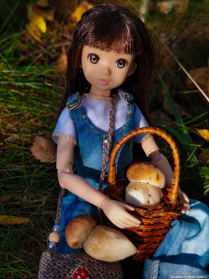 "Фото📸грибалка🍄‍🟫🍄🌲" — Куклы Momoko и Ruruko (Petworks