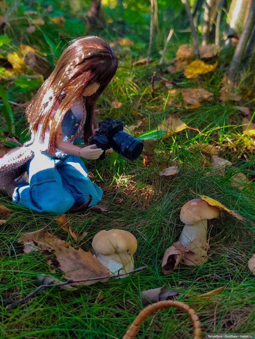 "Фото📸грибалка🍄‍🟫🍄🌲" — Куклы Momoko и Ruruko (Petworks (фото 8)