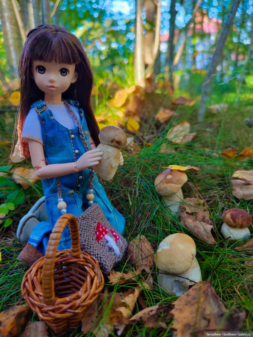 "Фото📸грибалка🍄‍🟫🍄🌲" — Куклы Momoko и Ruruko (Petworks (фото 7)