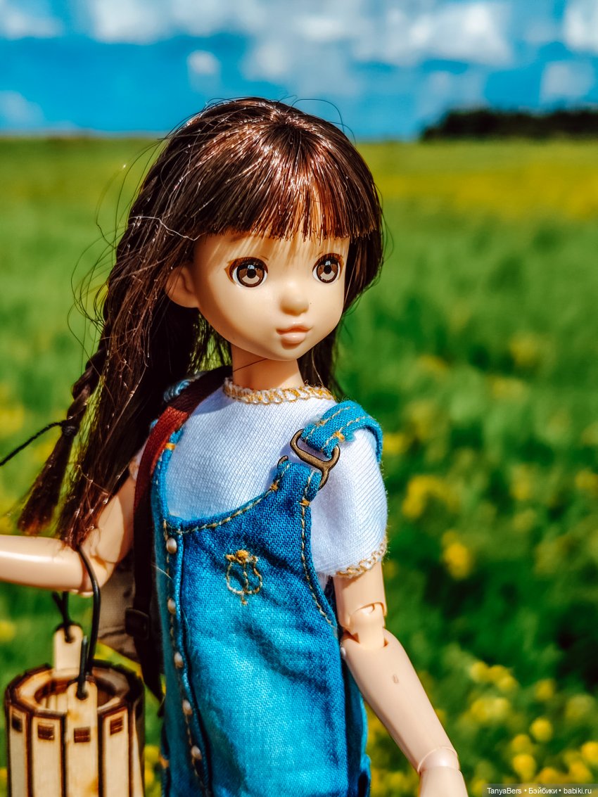 "Фото📸грибалка🍄‍🟫🍄🌲" — Куклы Momoko и Ruruko (Petworks