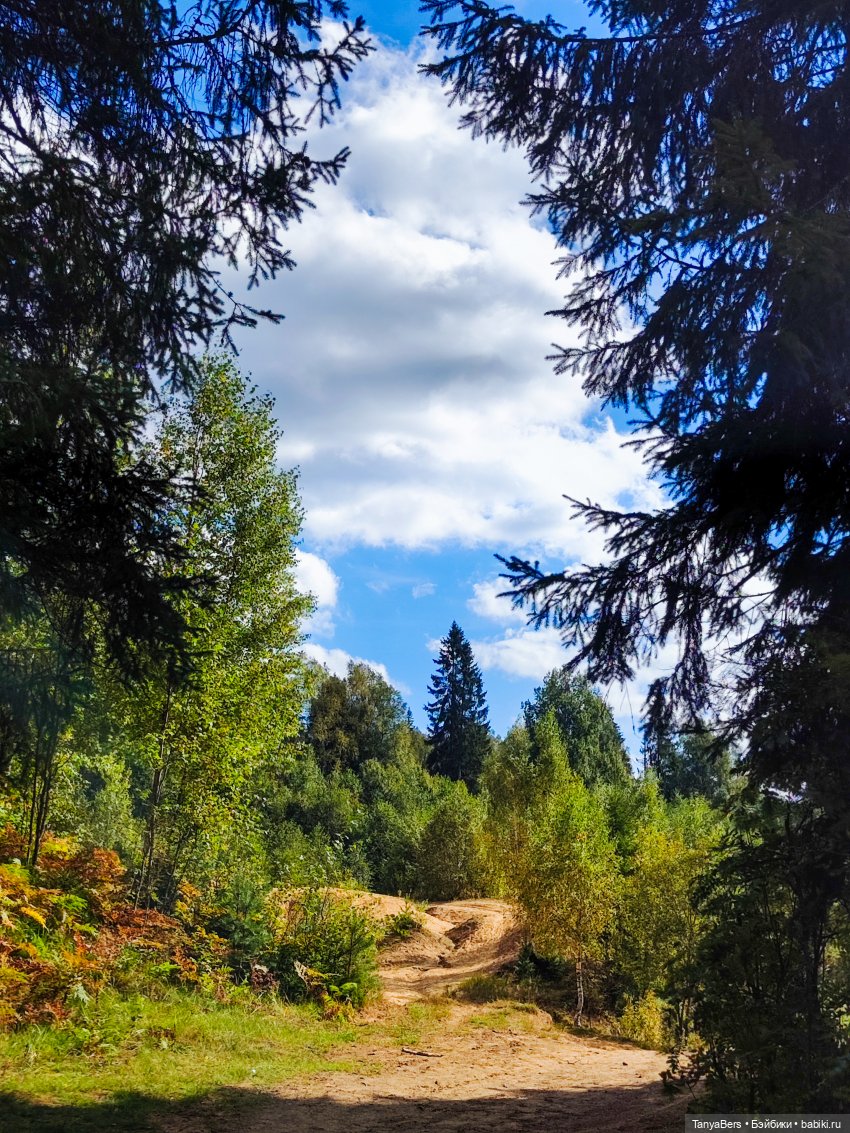 "Фото📸грибалка🍄‍🟫🍄🌲" — Куклы Momoko и Ruruko (Petworks (фото 5)