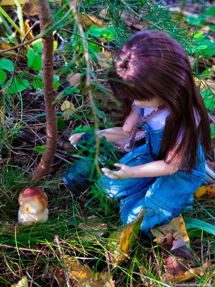 "Фото📸грибалка🍄‍🟫🍄🌲" — Куклы Momoko и Ruruko (Petworks