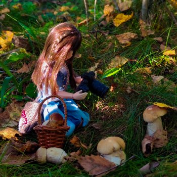 "Фото📸грибалка🍄‍🟫🍄🌲"