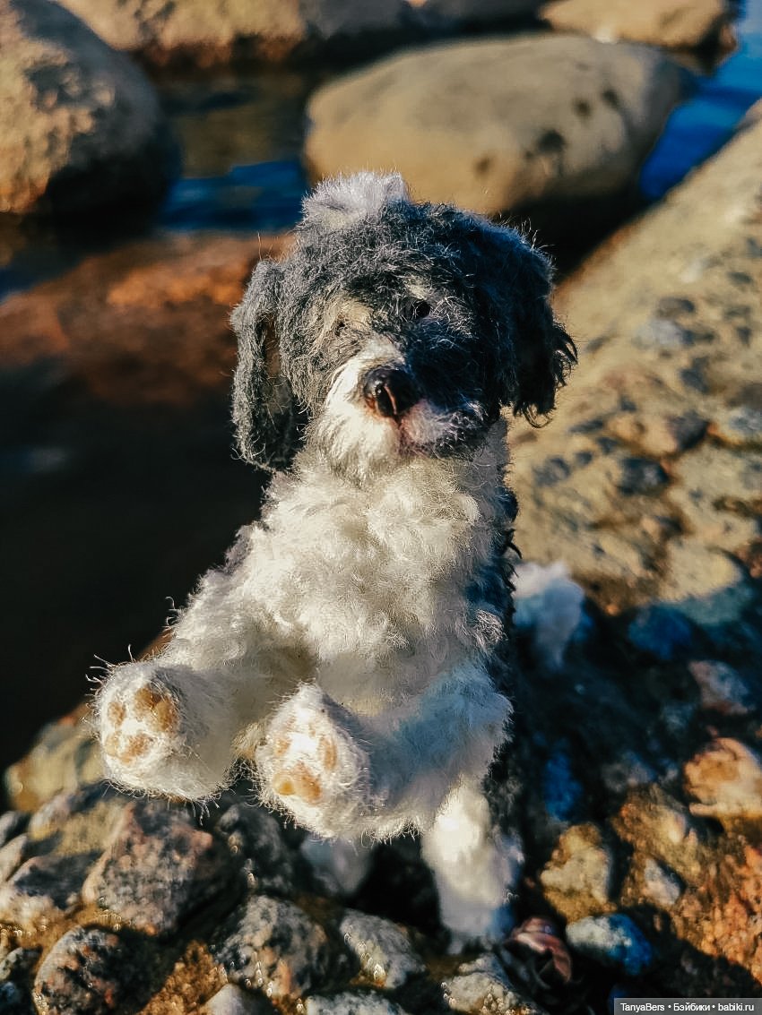 Сказка дома🏡✨ Матушка Ветровоск, часть 1. Знакомство❤️ (фото 5)