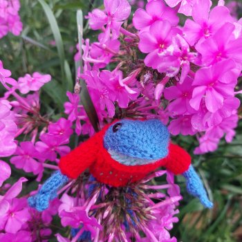 Один день из жизни Квакшена