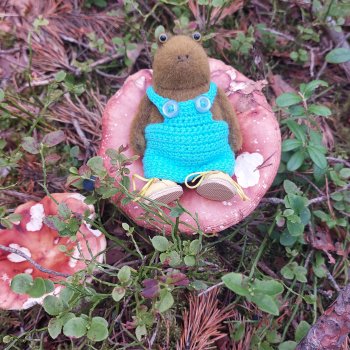 Жорджик в лесу