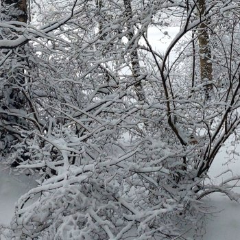 Первые сугробы ❄️