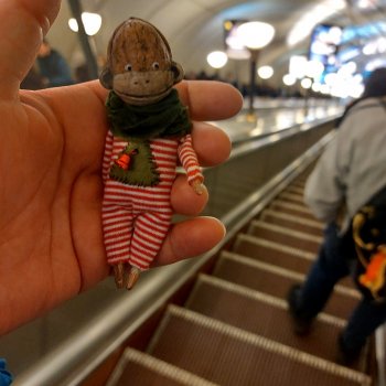 Маленькое путешествие Акакия Орешкина