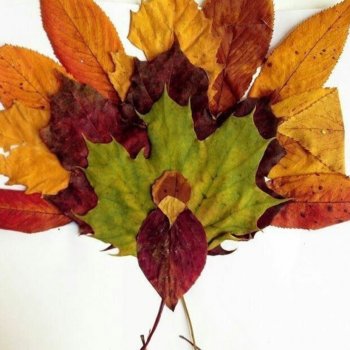 Закрываю сезон 😞