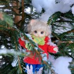 Кошечка Джун от Ольги Бабаевой