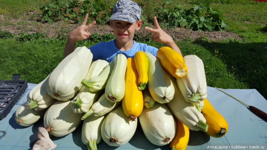 У нас урожай , а у вас — Болталка и разговоры обо всем: жизнь (фото 2)