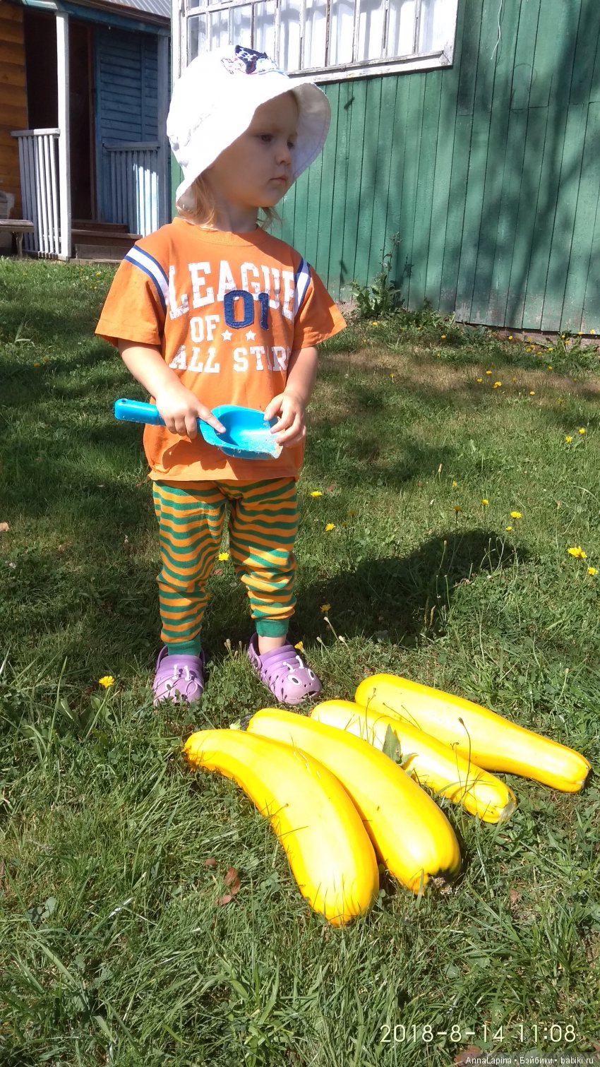 У нас урожай , а у вас — Болталка и разговоры обо всем: жизнь