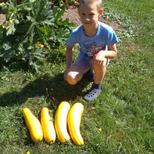 У нас урожай , а у вас ?