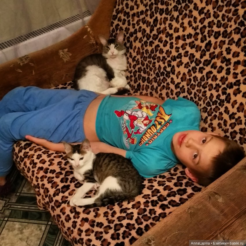 А мы нашли котенка — Болталка и разговоры обо всем: жизнь (фото 2)