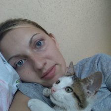 А мы нашли котенка