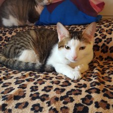 как выросло наше чудо