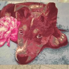 Собачка ( картина по номерам )