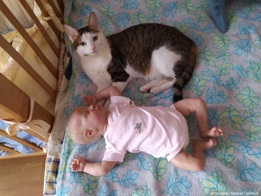 Выше нос | Бэйбики Выше нос — Куклы Реборн (Reborn): домашние фото