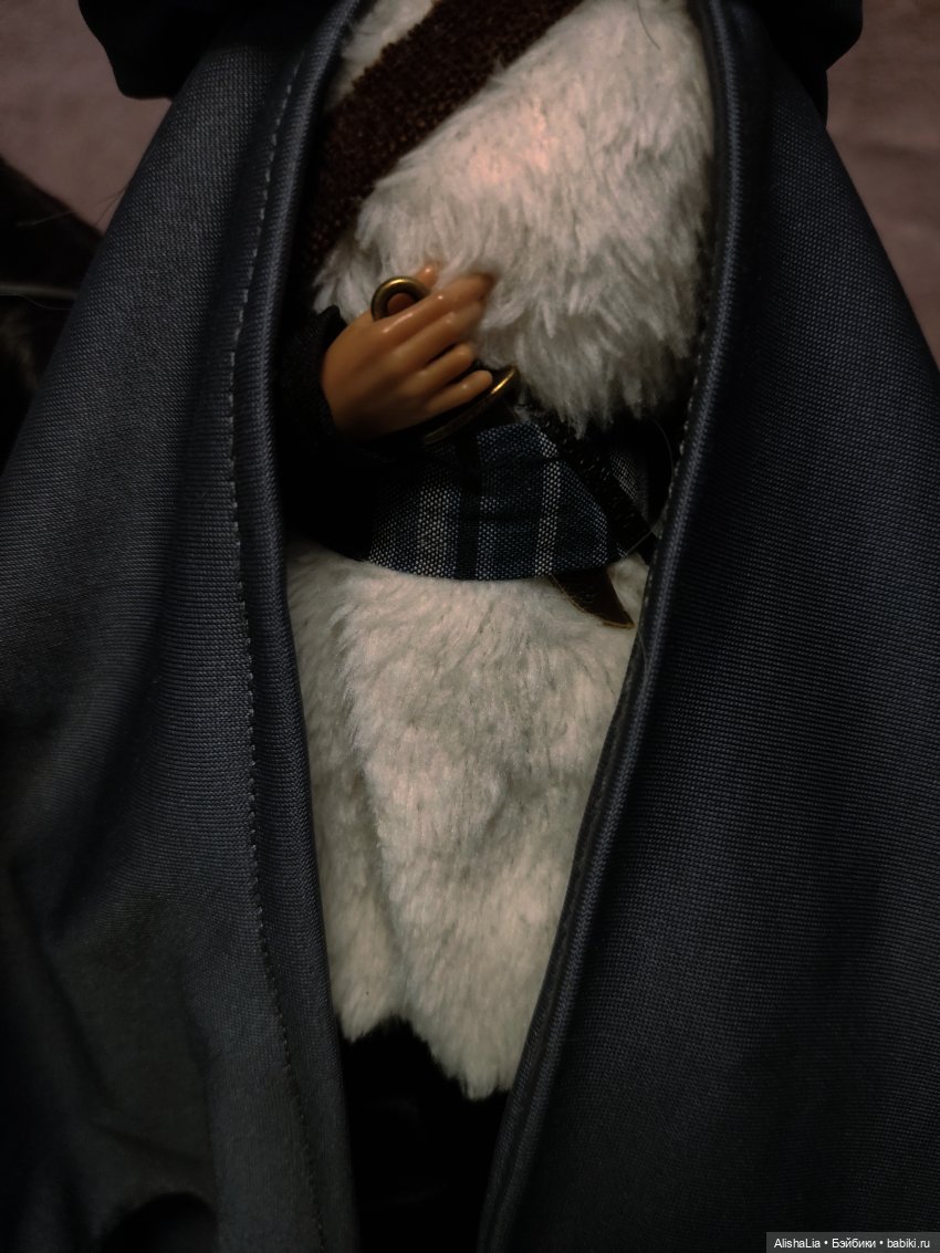 Лекарь. Глава 52. Побег — Кукольные фотоистории и сериалы: комиксы (фото 8)