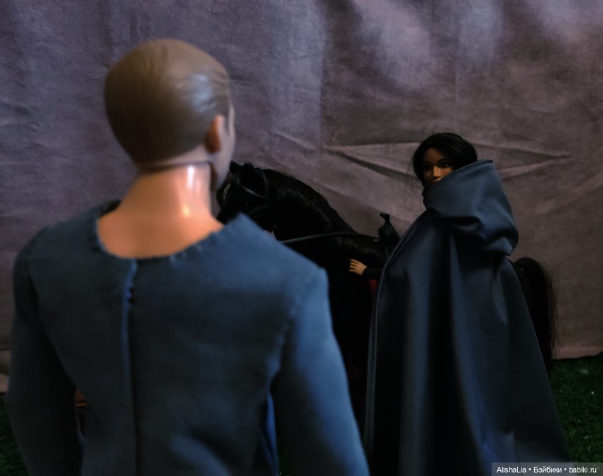 Лекарь. Глава 52. Побег — Кукольные фотоистории и сериалы: комиксы (фото 9)