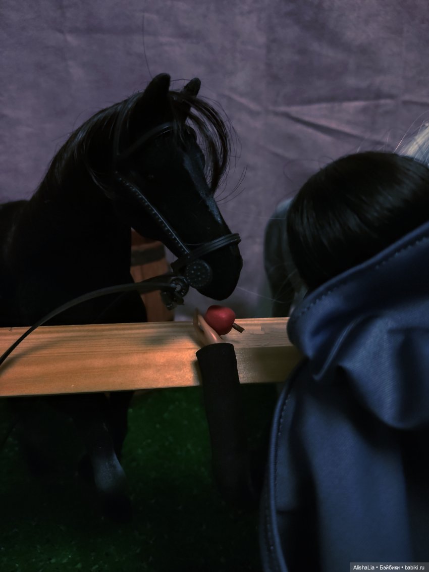 Лекарь. Глава 52. Побег — Кукольные фотоистории и сериалы: комиксы (фото 4)