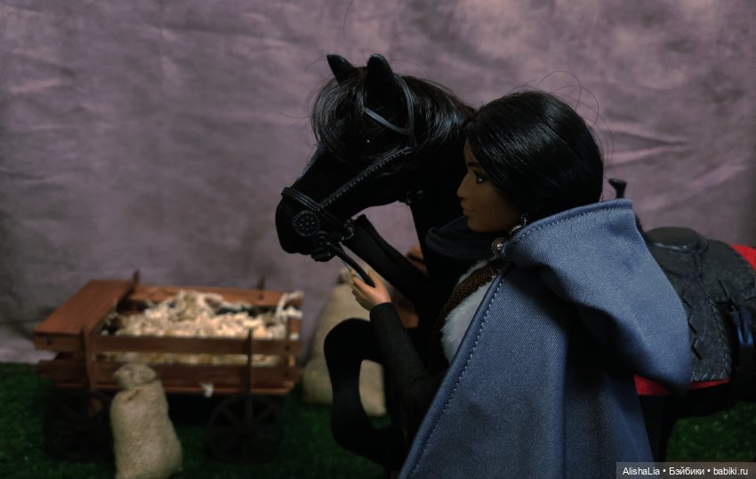 Лекарь. Глава 52. Побег — Кукольные фотоистории и сериалы: комиксы (фото 5)