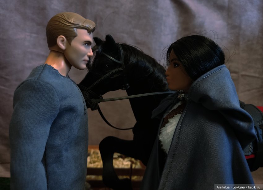 Лекарь. Глава 52. Побег — Кукольные фотоистории и сериалы: комиксы (фото 10)