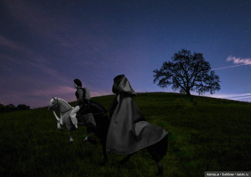 Лекарь. Глава 52. Побег — Кукольные фотоистории и сериалы: комиксы