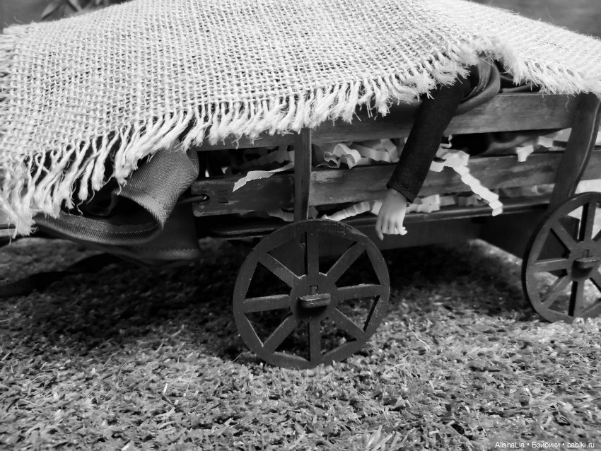 Лекарь. Глава 53. Тяжелые думы